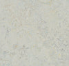 Marmoleum Cinch Loc Seal  Square - Seashell 12" x 12" - GreenFlooringSupply.com