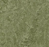 Marmoleum Click Square - Pine Forest 12" x 12" - GreenFlooringSupply.com