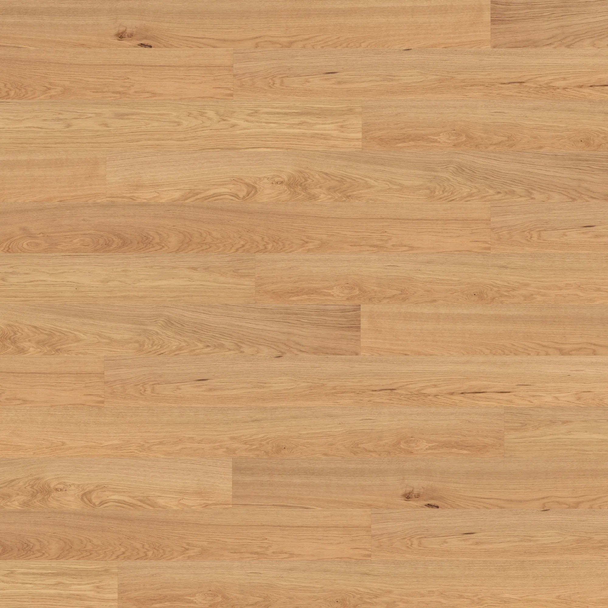 Bjelin Oak Nature XL Hardwood Flooring collection