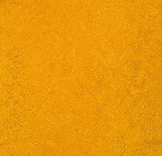 Marmoleum MCS Golden Sunset MCS-3125 linoleum sheet swatch
