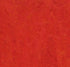 Marmoleum Fresco Scarlet 3131 linoleum sheet swatch
