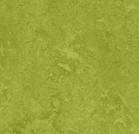 Marmoleum Fresco Green 3247 linoleum sheet swatch