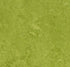 Marmoleum Fresco Green 3247 linoleum sheet swatch