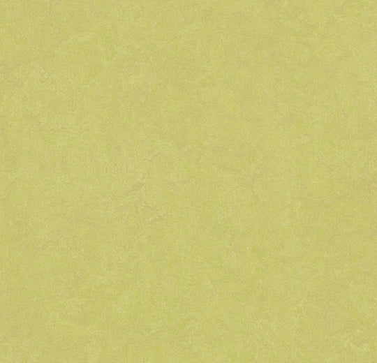 Marmoleum Fresco Spring Buds 3885 linoleum sheet swatch