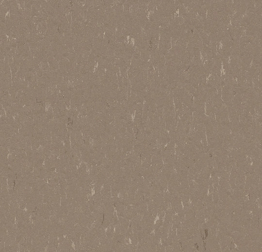Marmoleum Piano Otter 3631 linoleum sheet swatch