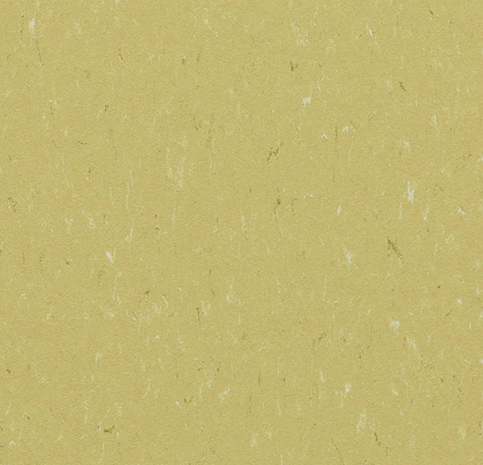 Marmoleum Piano Meadow 3634 linoleum sheet swatch