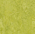 Marmoleum MCS Chartreuse MCS-3224 linoleum sheet swatch