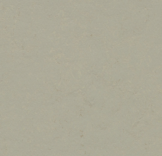 Marmoleum Decibel Orbit 372435 linoleum sheet swatch
