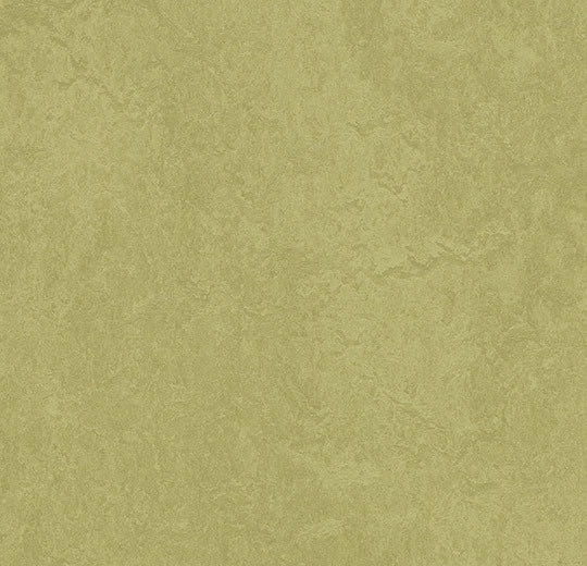 Marmoleum Fresco Avocado 3265 linoleum sheet swatch