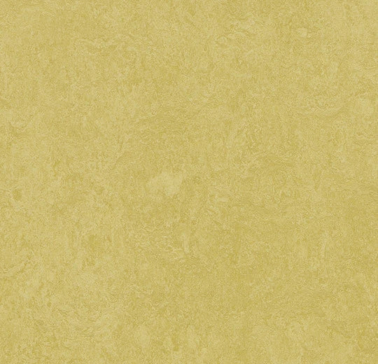 Marmoleum Fresco Mustard 3259 linoleum sheet swatch