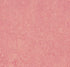 Marmoleum Real Honey Suckle 3268 linoleum sheet swatch