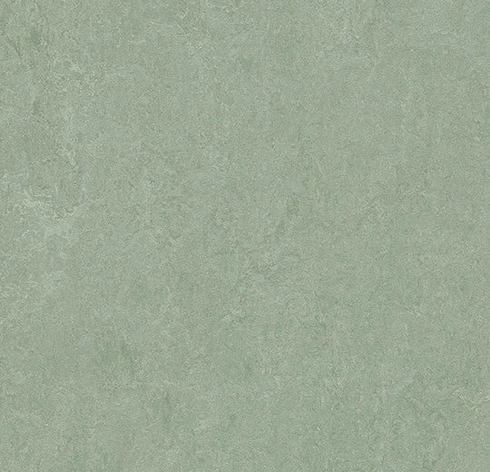 Marmoleum Fresco Sage 3891 linoleum sheet swatch