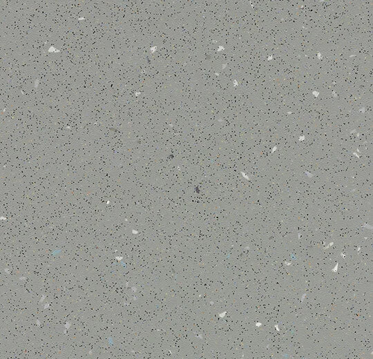 Eternal Step SR Slate Grey 174752 commercial sheet vinyl swatch