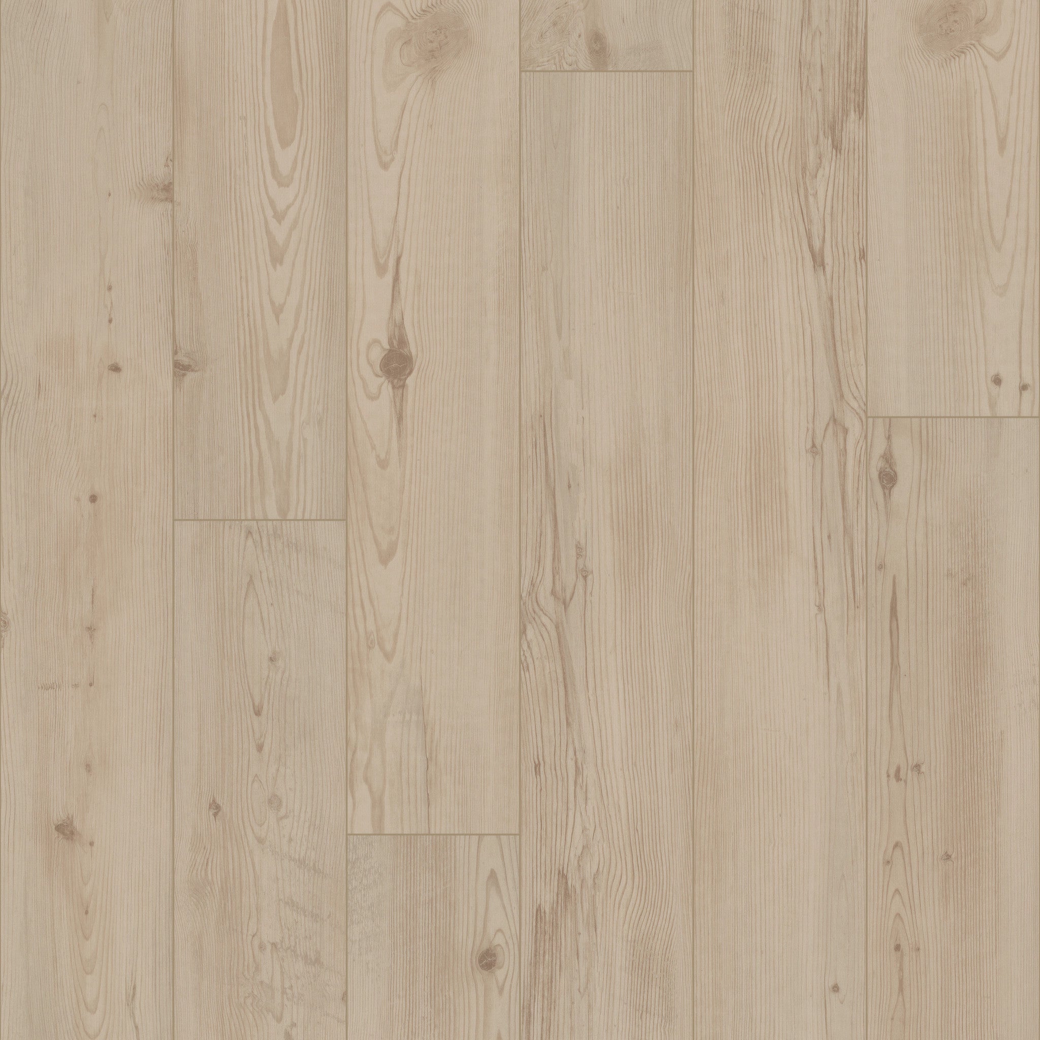 Shaw Floorte Pro Allegiance + Acc Galleria Pine luxury vinyl plank
