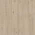 Shaw Floorte Pro Allegiance + Acc Galleria Pine luxury vinyl plank