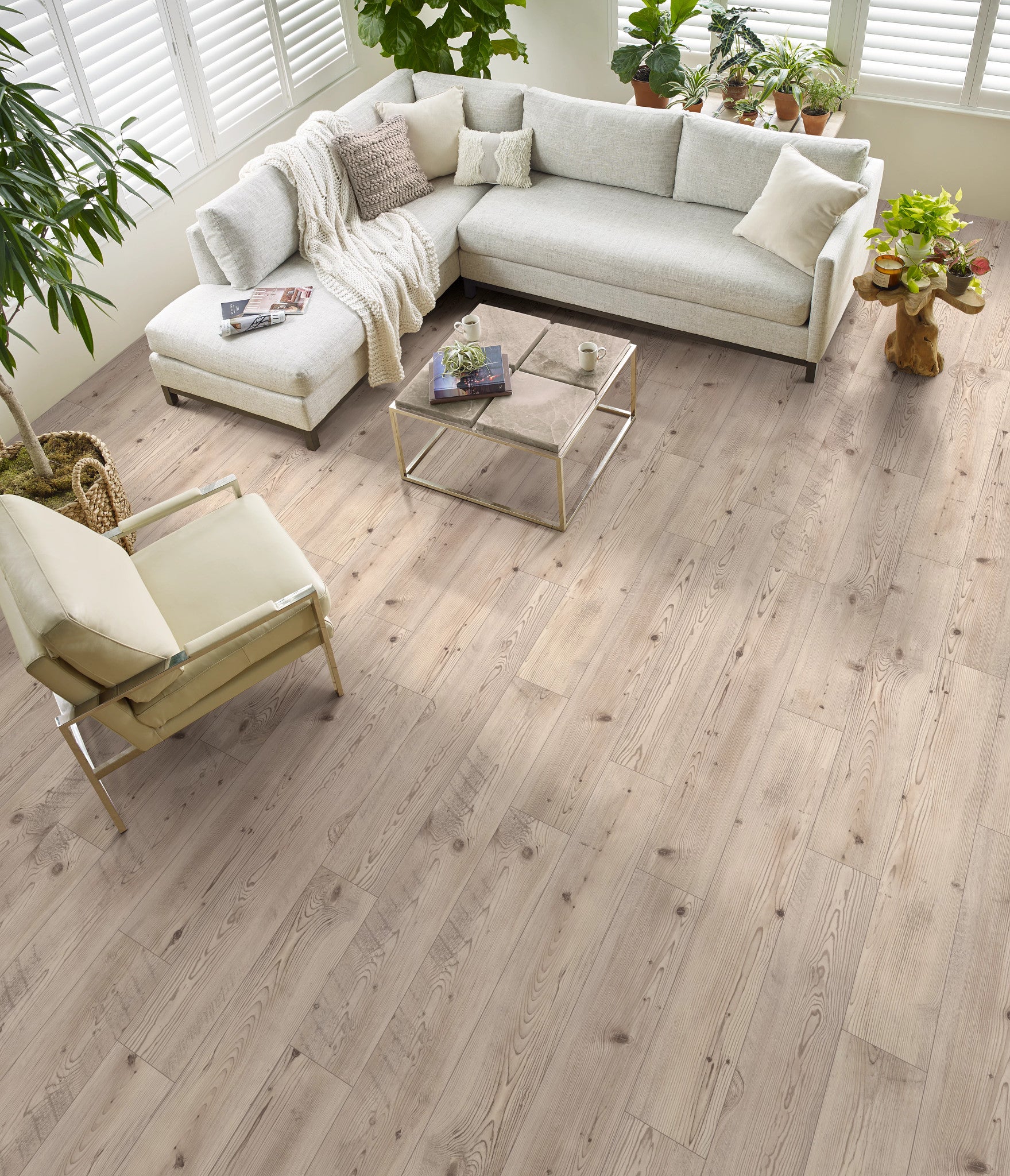 Shaw Floorte Pro Allegiance + Acc Prestique Pine room scene