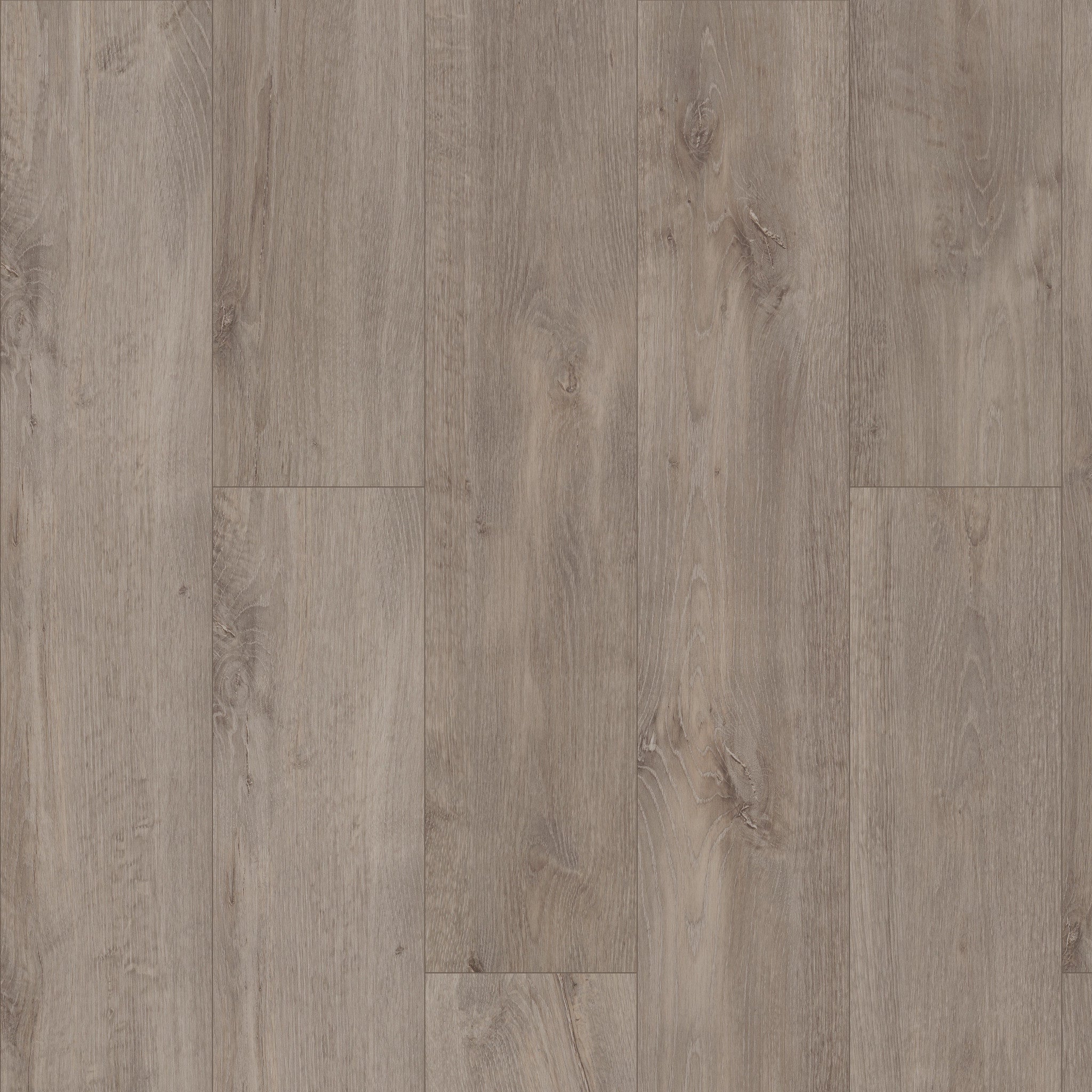 Shaw Floorte Pro Allegiance + Acc Ambassador luxury vinyl plank