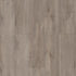Shaw Floorte Pro Allegiance + Acc Ambassador luxury vinyl plank