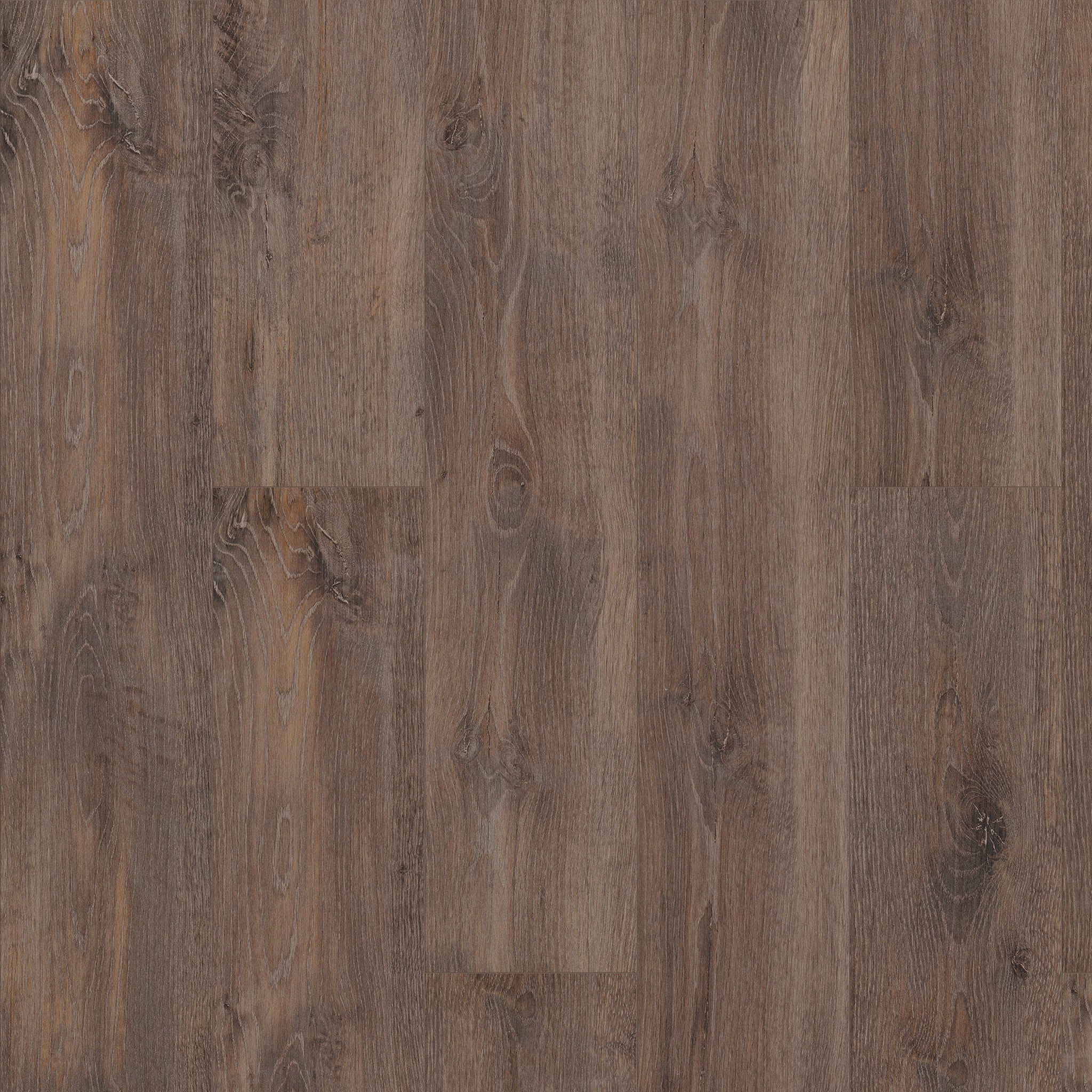 Shaw Floorte Pro Allegiance + Acc Chapman luxury vinyl plank