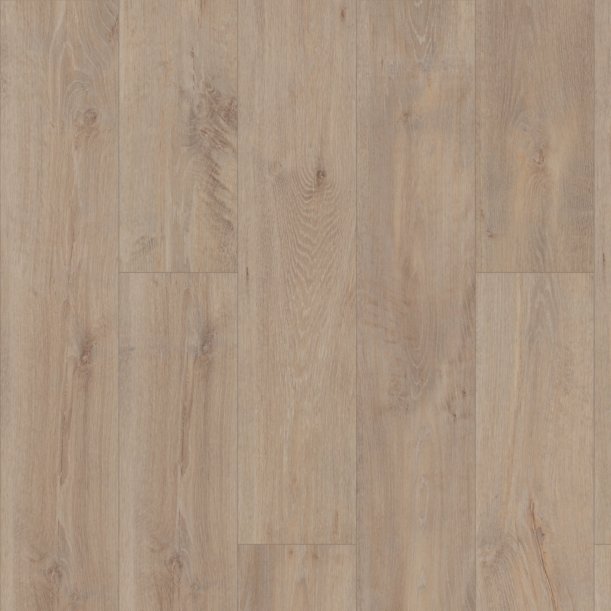 Shaw Floorte Pro Allegiance + Acc Ryman luxury vinyl plank