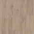 Shaw Floorte Pro Allegiance + Acc Ryman luxury vinyl plank