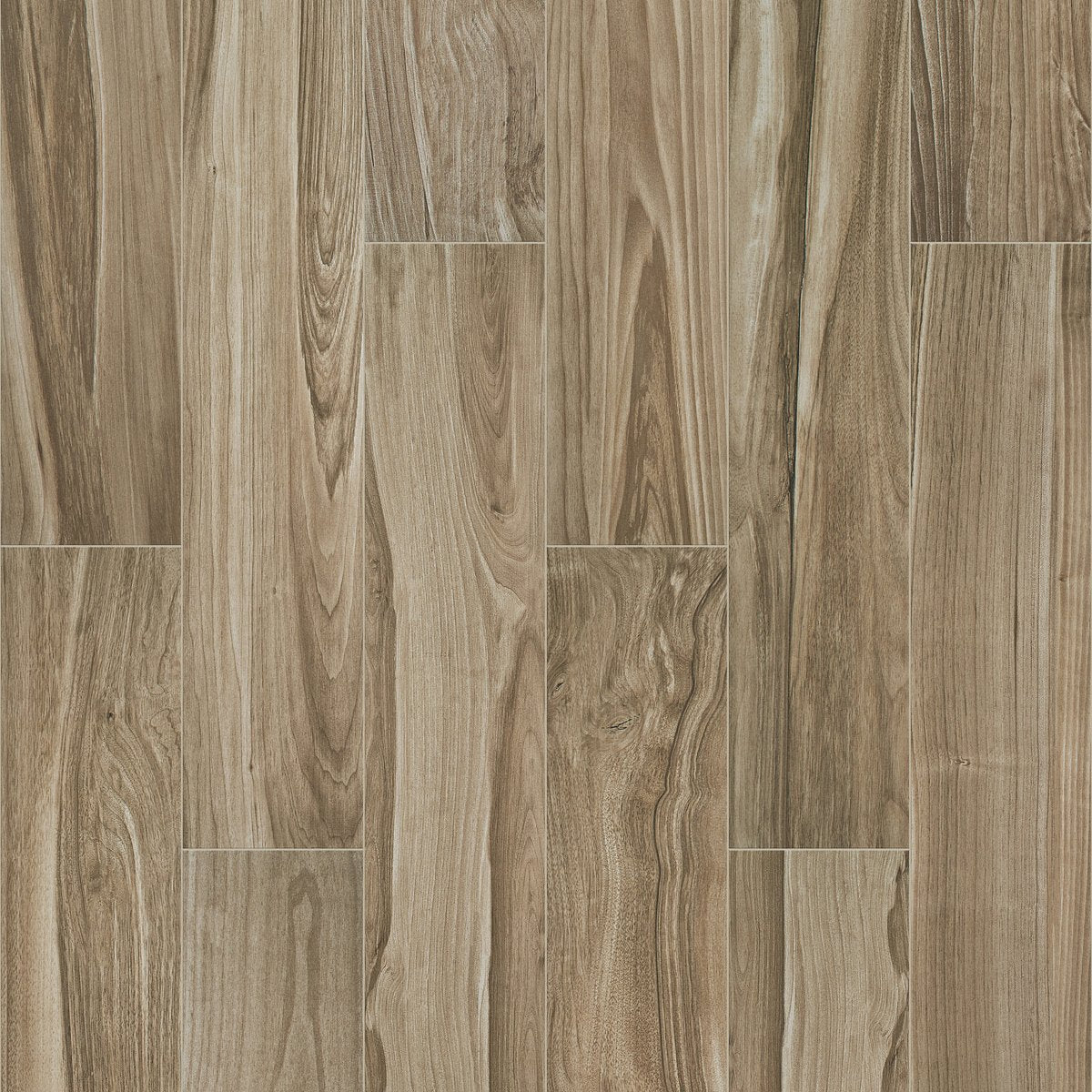 Shaw Studio Porcelain Tile 8x40 Rome