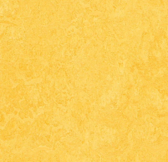 Marmoleum Fresco Lemon Zest 3251 linoleum sheet swatch