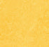 Marmoleum MCS Lemon Zest MCS-3251 linoleum sheet swatch