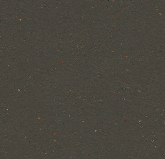 Marmoleum Cocoa Black Tea 3591 linoleum sheet swatch