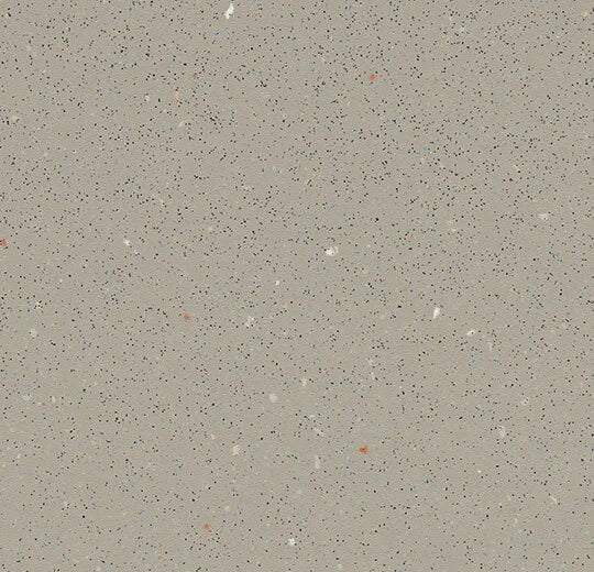 Eternal Step SR Fossil 174232 commercial sheet vinyl swatch