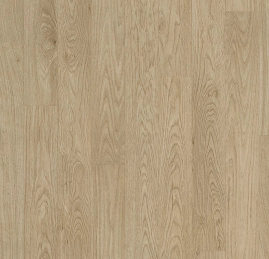 Eternal Wood Limed Oak 11572 commercial sheet vinyl swatch