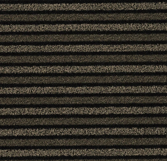 Coral Duo Sonoran Plain 9234