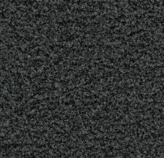 Coral Brush Whisper Grey 5235