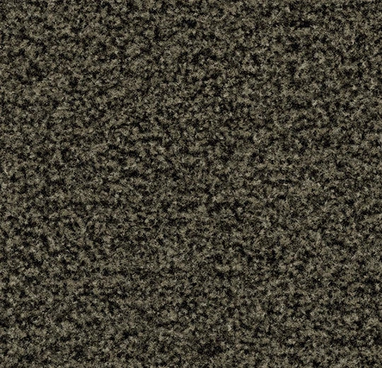 Coral Brush Fossil Grey 5234