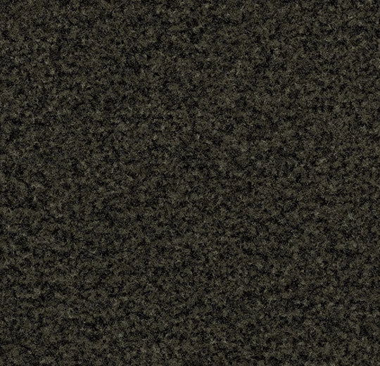 Coral Brush Charcoal Grey 5215