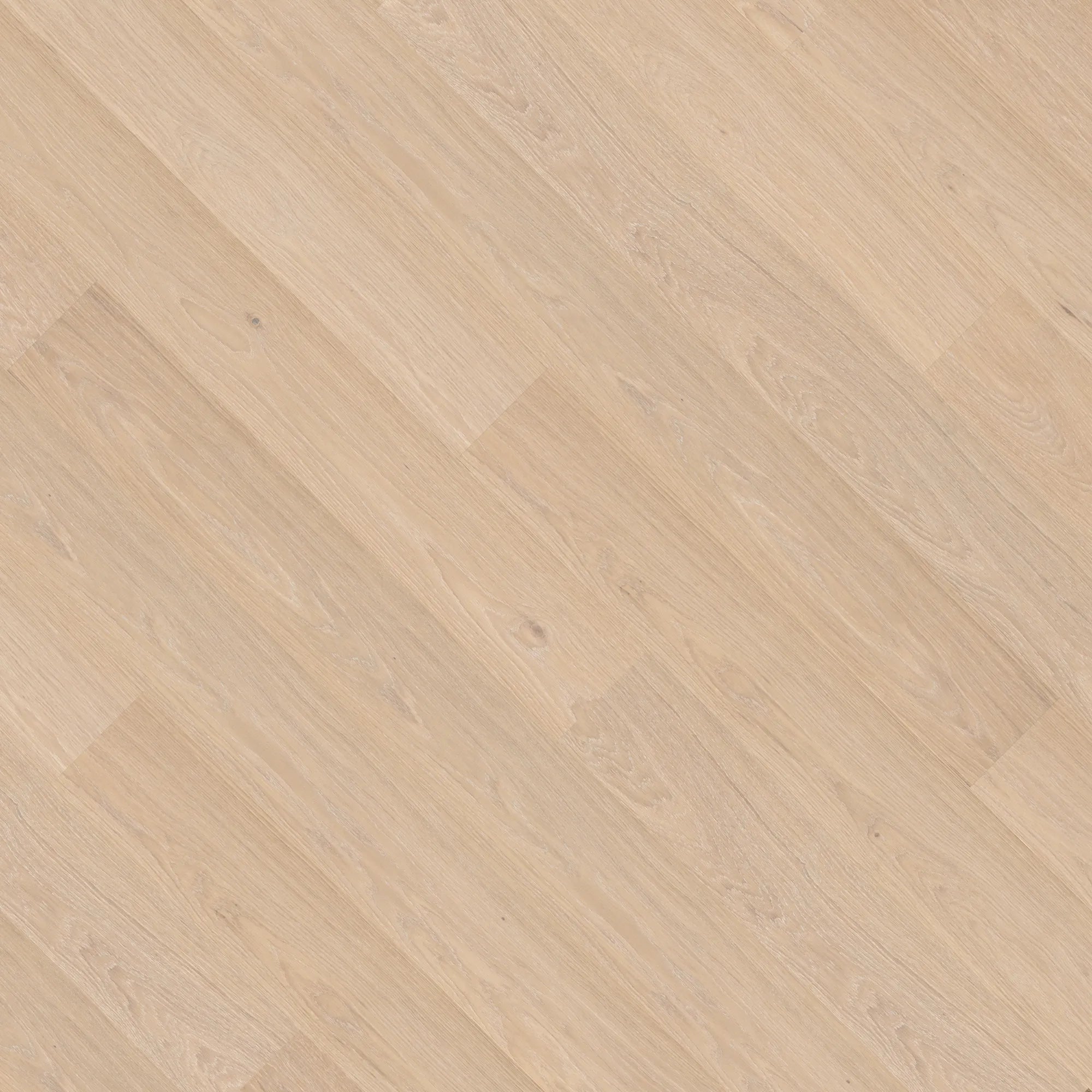 Bjelin Oak Nature XL Powder White Oak flooring swatch