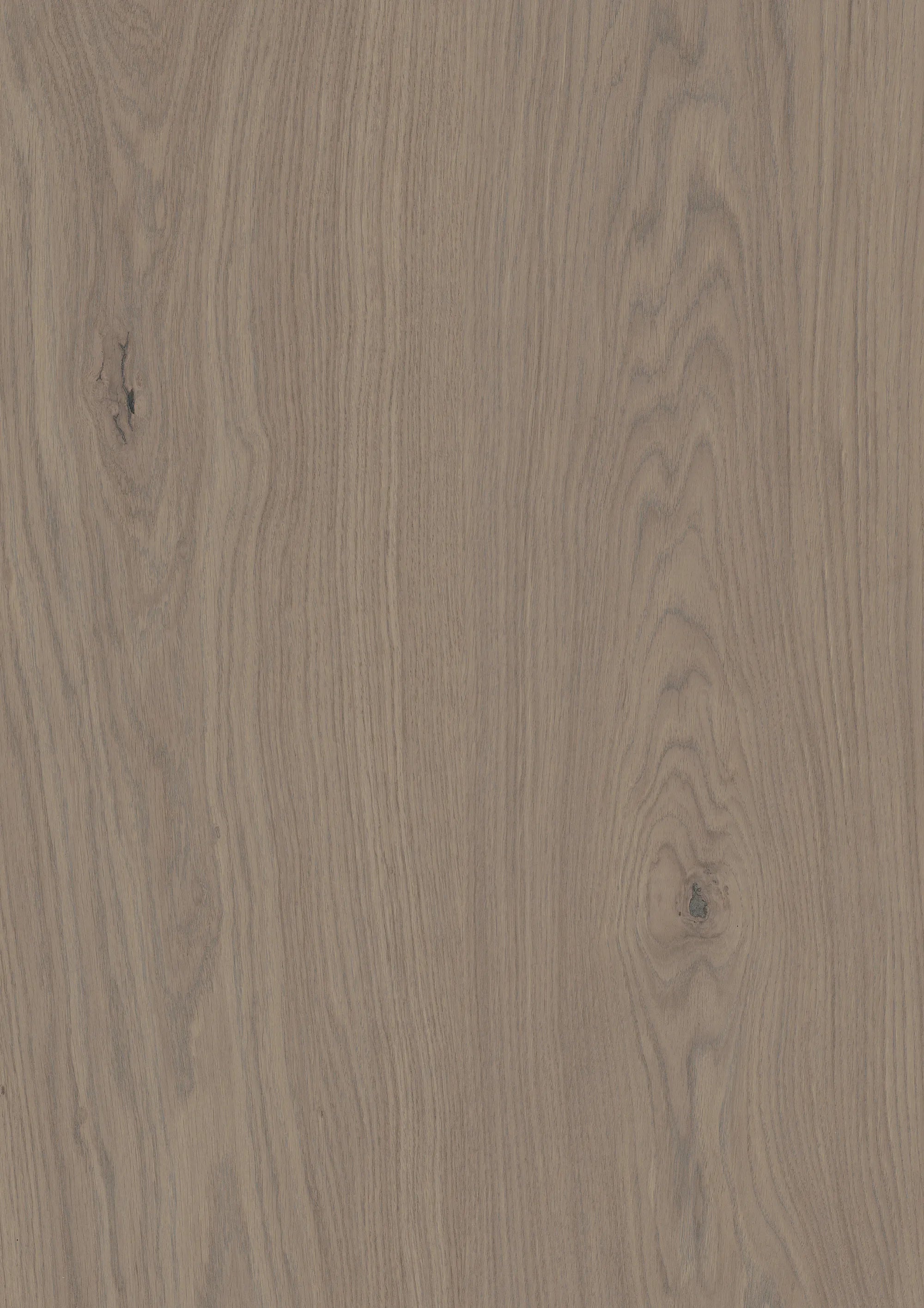 Bjelin Oak Nature XL Earth Grey Oak flooring swatch