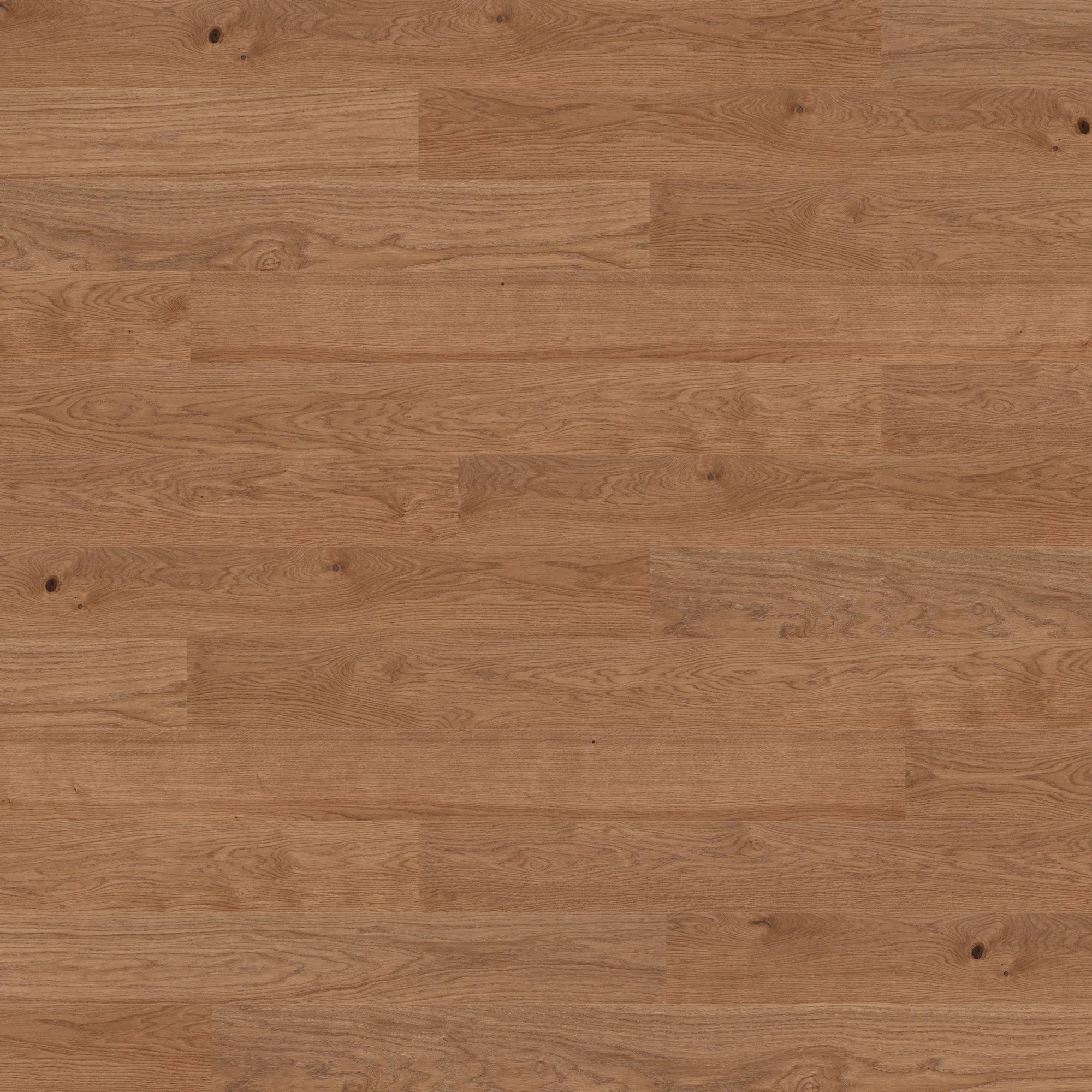 Bjelin Oak Nature XL Terra Brown Oak flooring swatch