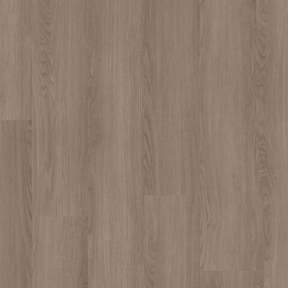 Pathways 6 Timber 02130