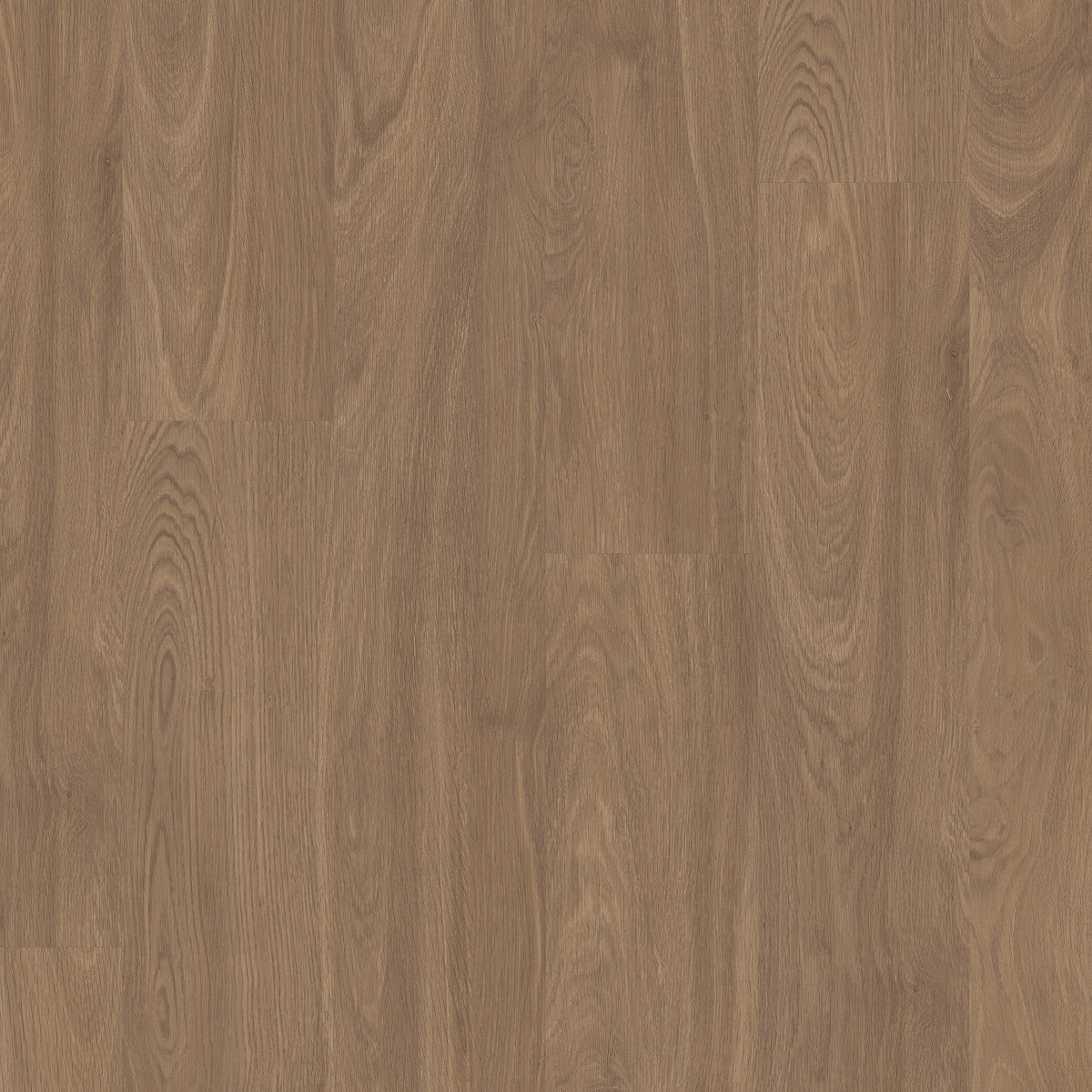 Pathways 6 Ember 06053