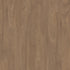 Pathways 6 Ember 06053