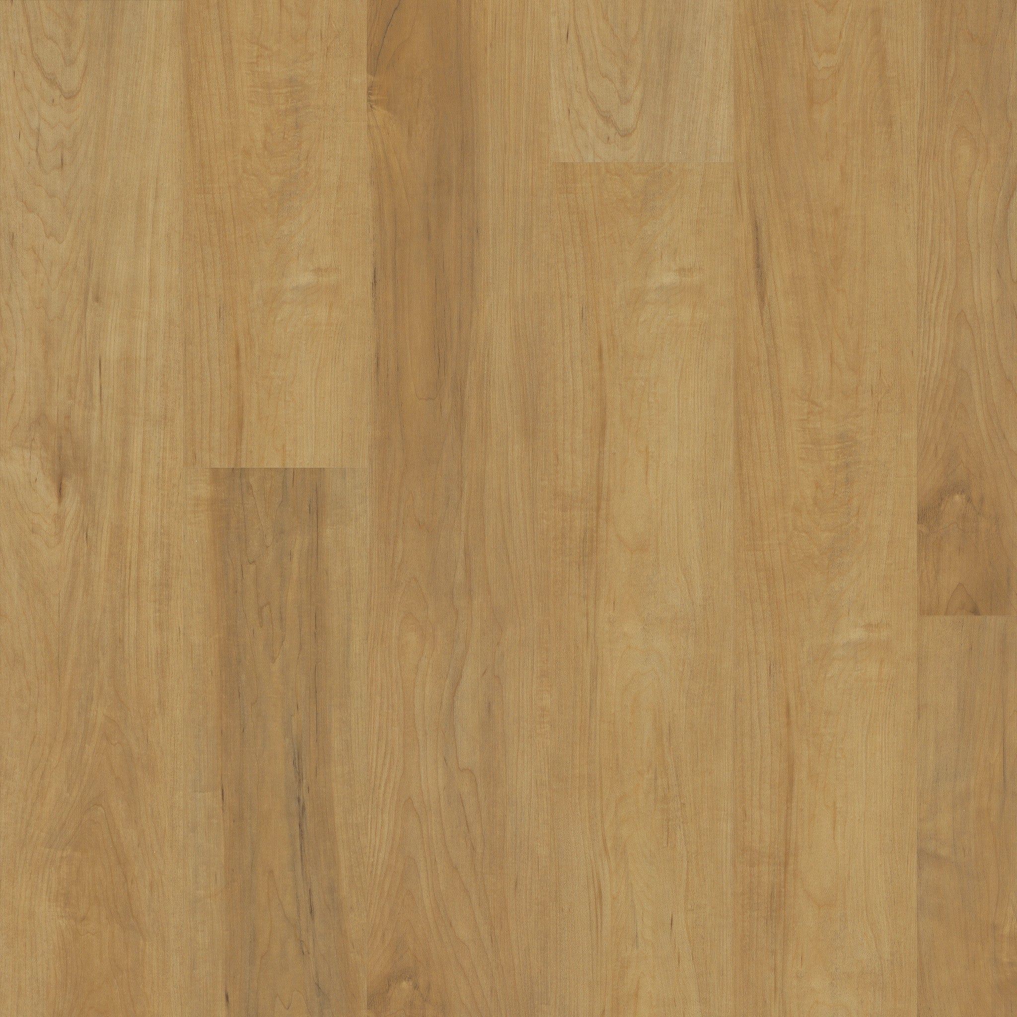 Shaw Floorte Pro Maltese Dusted Maple luxury vinyl plank swatch