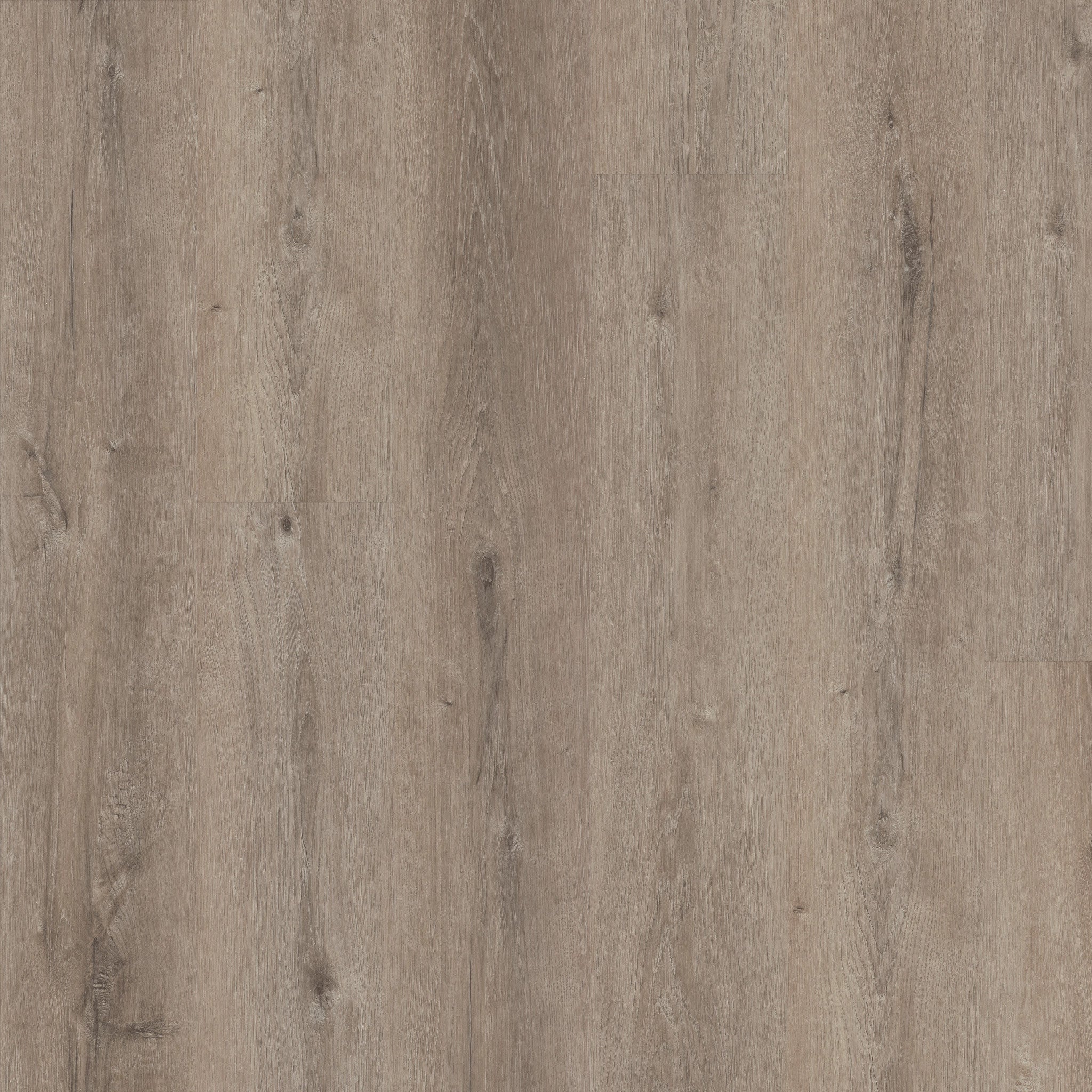 Shaw Floorte Pro Maltese Quarry Oak luxury vinyl plank swatch
