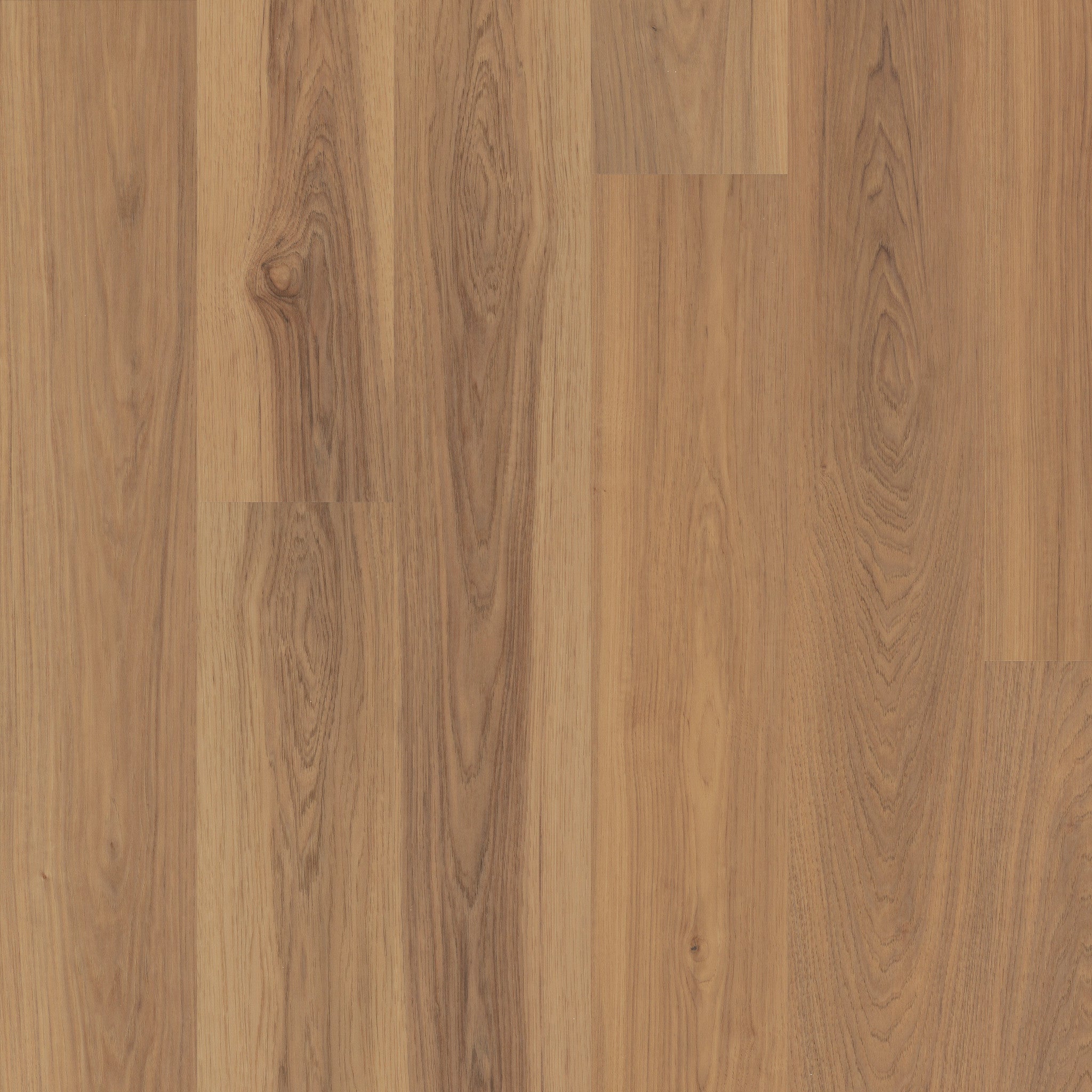 Shaw Floorte Pro Maltese Silica Hickory luxury vinyl plank swatch