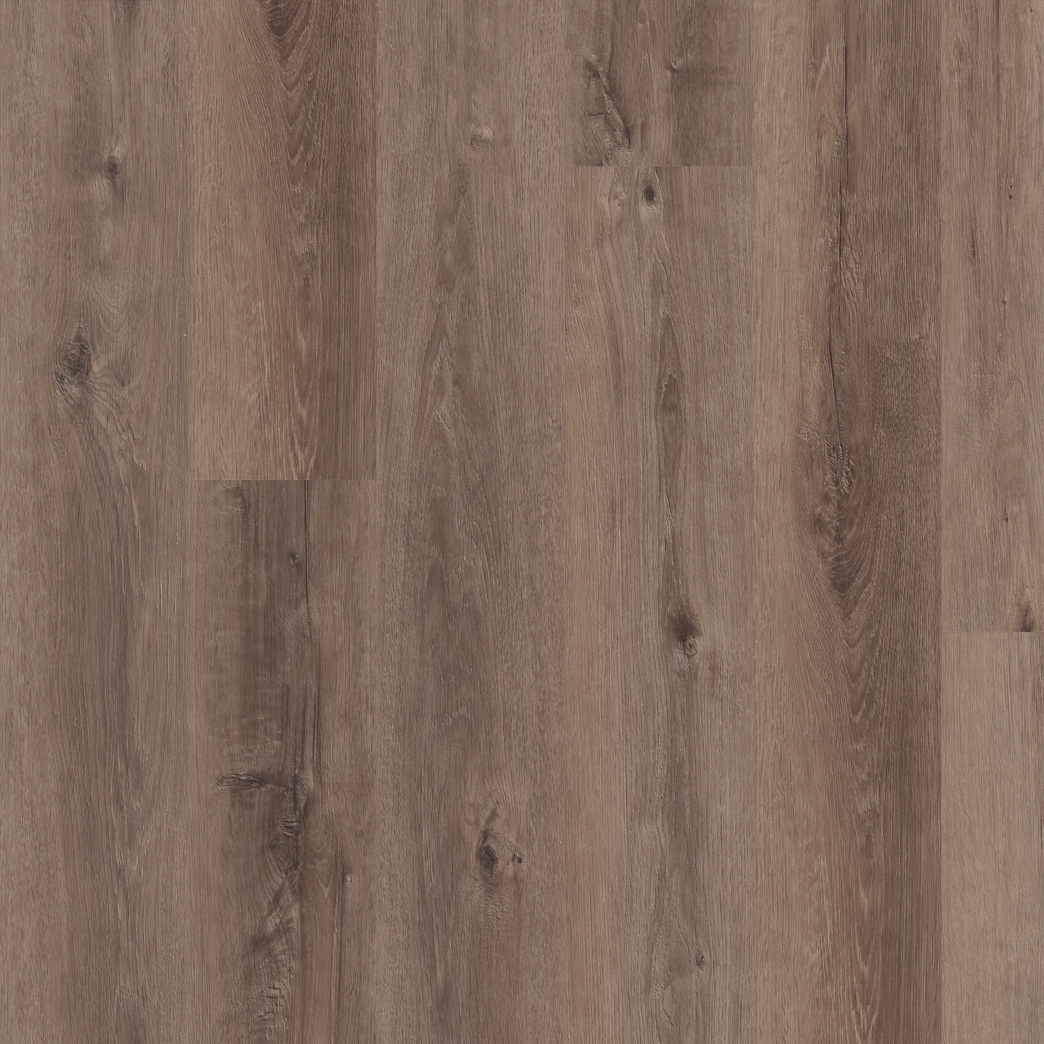Shaw Floorte Pro Maltese Cinder Oak luxury vinyl plank swatch
