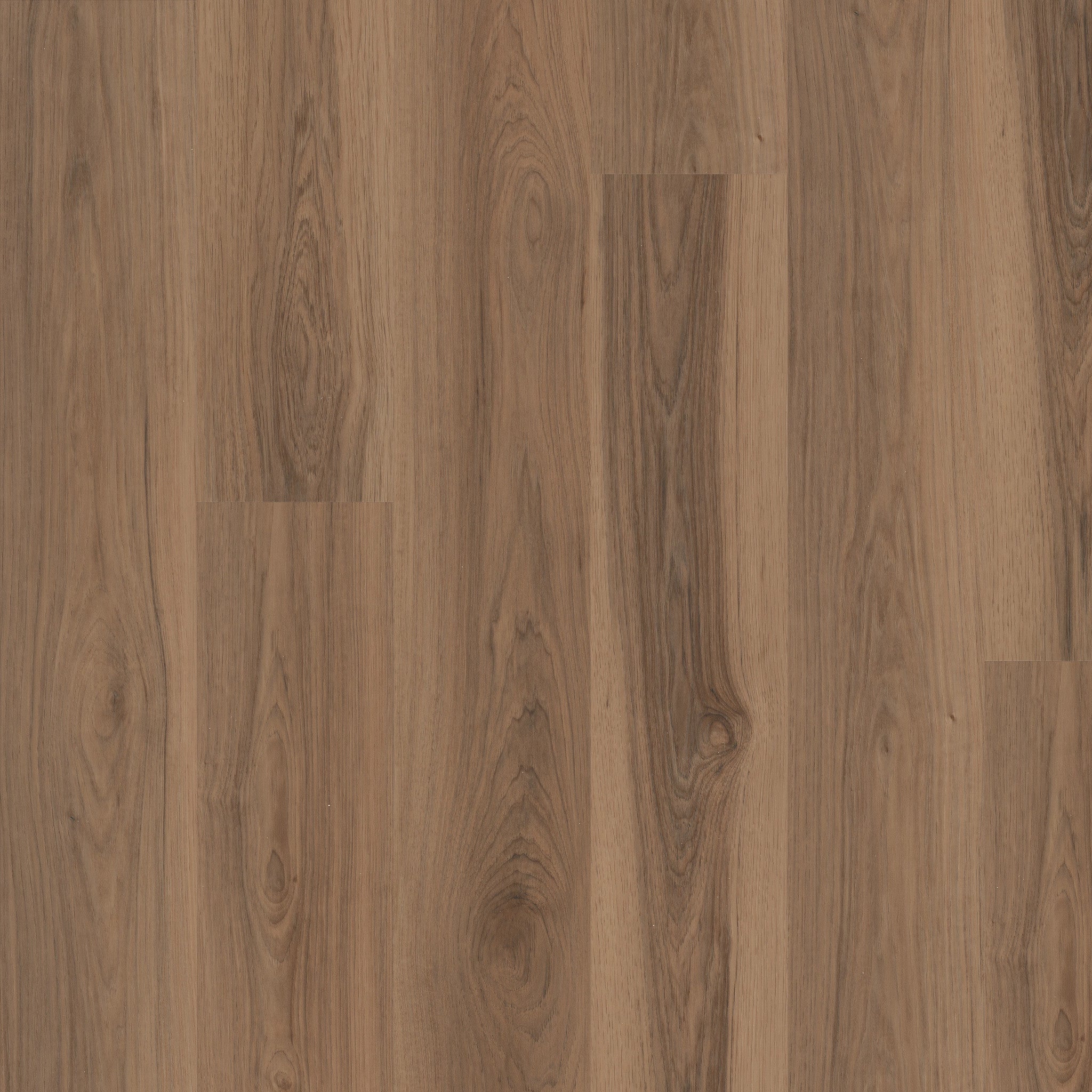 Shaw Floorte Pro Maltese Sparrow Hickory luxury vinyl plank swatch