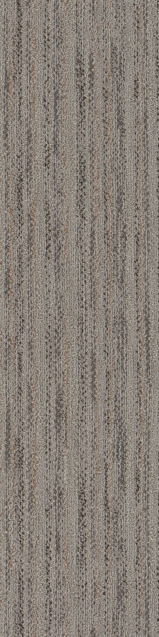 Layers Dalmatian Jaspe 33505