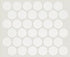 Shaw Format Large Penny Round Mosaic Porcelain Tile Pearl