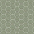 Shaw Tetra 3D Hex Porcelain Tile Mint