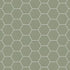 Shaw Tetra Hex Porcelain Tile 5x6 Mint